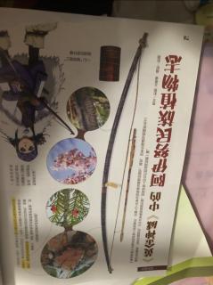《黄金神威》中的阿姨努民族植物志——紫杉制弓，山樱为皮