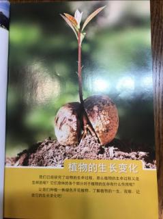 小学科学四年级下册第一单元植物的生长变化。