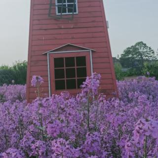 《方脸公公和圆脸婆婆》