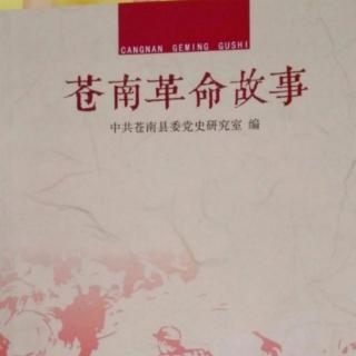 《刘英战斗在苍南地区》1