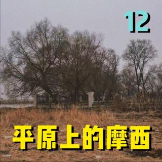 12.《平原上的摩西》赵小东