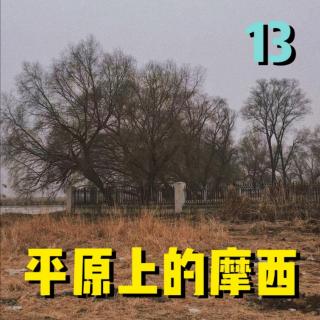 13.《平原上的摩西》李斐