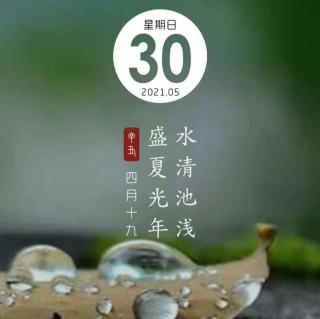 喀纳斯早安心语5.30