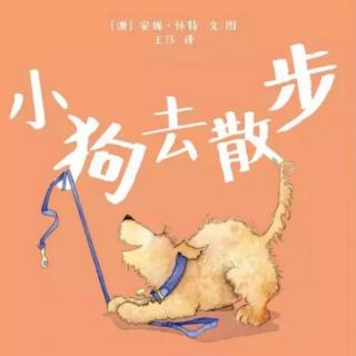 小狗🐶去散步