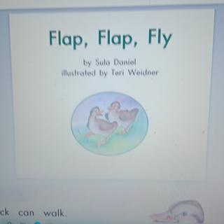 Flap Flap Fly