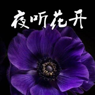 夜听花开｜《本性善良的人都晚熟》