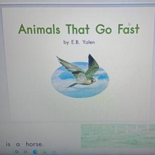 Animals That Go Fast