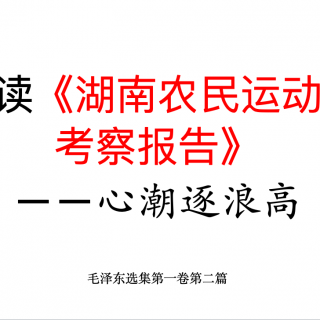 读《湖南农民运动考察报告》上 —心潮逐浪高 毛选第一卷第二篇