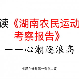 读《湖南农民运动考察报告》下 —新潮逐浪高 毛选第一卷第二篇