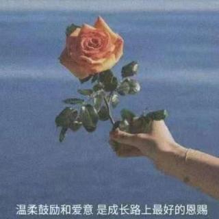 恰如初见，一切美好