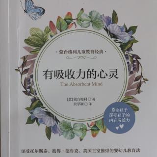 有吸收力的心灵  第十章  儿童的语言发展  16