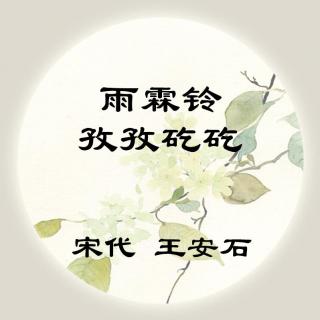 王安石——《雨霖铃·孜孜矻矻》