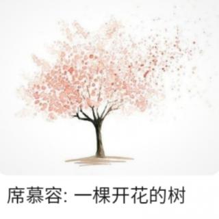 一棵开花的树|席慕容  诵读  一帆风顺