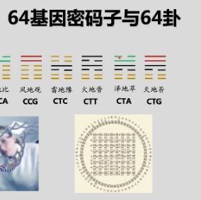 独一无二的64卦和64种基因密码
