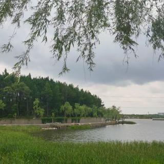 《雨中即景》