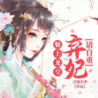 魅上龙皇 第198集 霓婉护卫