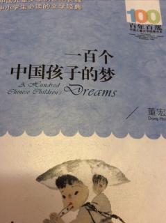 一百个中国孩子的梦：十四岁的梦