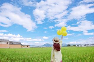 《花非花》唐：白居易