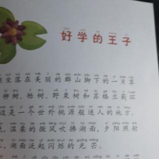 《好学的王子》