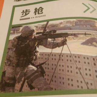 生不逢时——美国M14式步枪