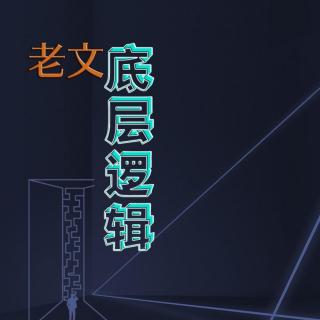 老文的底层逻辑S1E18 马云穿得那么低调，还不是让我们放松警惕，别