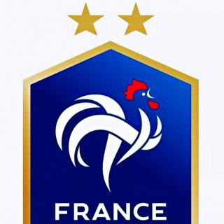 歐洲盃（24強）~法國