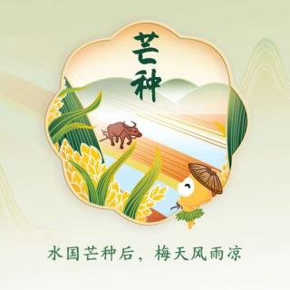 6月5日共读《芒种——愿你一路收获，一路希望》