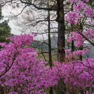 原生家庭伤害影像的夫妻关系