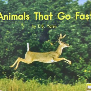 海尼曼 LevelC Book69 - Animals that go fast