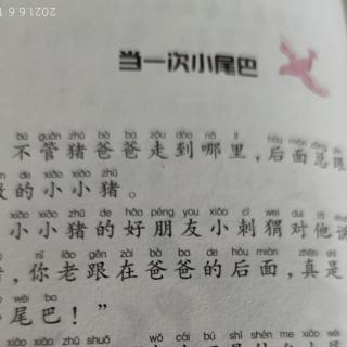 当一次小尾巴