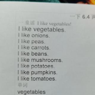 6.7  童谣 I like vegetables