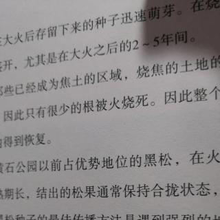 殷老师亲子朗读《黄石国家公园大火》