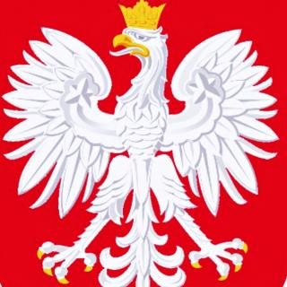欧洲盃（24）强~波兰