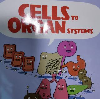 CELLS TO ORGAN SYSTEMS