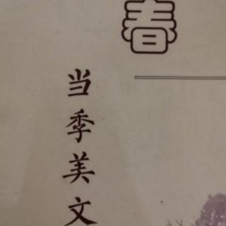 四季美文—春—翻阅阳光📚