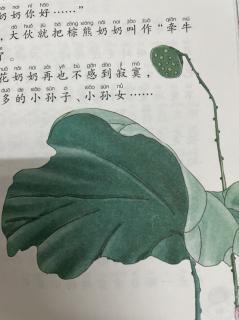 牵牛花奶奶