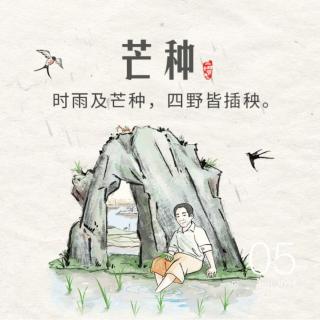 孟兆韦《拾麦记忆》