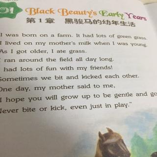 杨砚喜读《黑骏马的幼年生活》