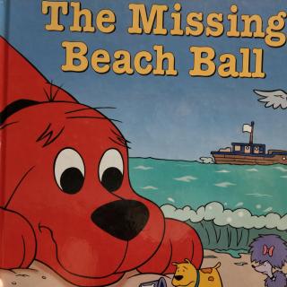 The Missing Beach Ball