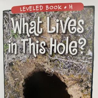 RAZ LevelH 703 - What Lives in This Hole？