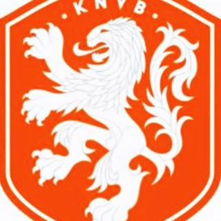 欧洲盃（24）强~荷兰