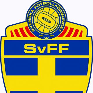 欧洲盃（24）强~瑞典