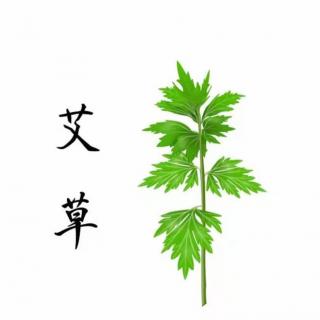 【健康中午茶——艾草芊芊，佑工身健】210610