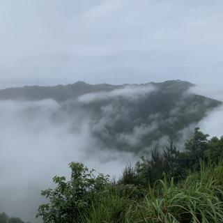 《智慧妈妈课堂》晨读第738期