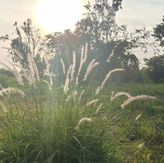 旧爱新忆……王润洁