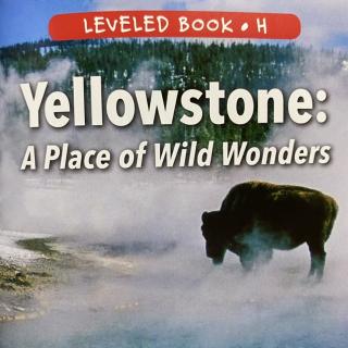 RAZ LevelH 705 - Yellowstone:a place of wild wonder