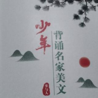 《没娘的小鸟》前苏联 维·比安基