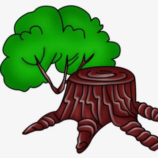 6.11(1)《一棵树和九棵树》