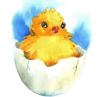 第206本绘本故事《一颗不理鸡妈妈的鸡蛋》