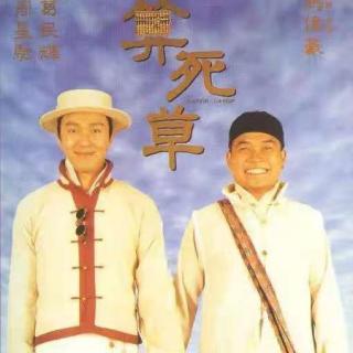 算死草[1997-08-01]